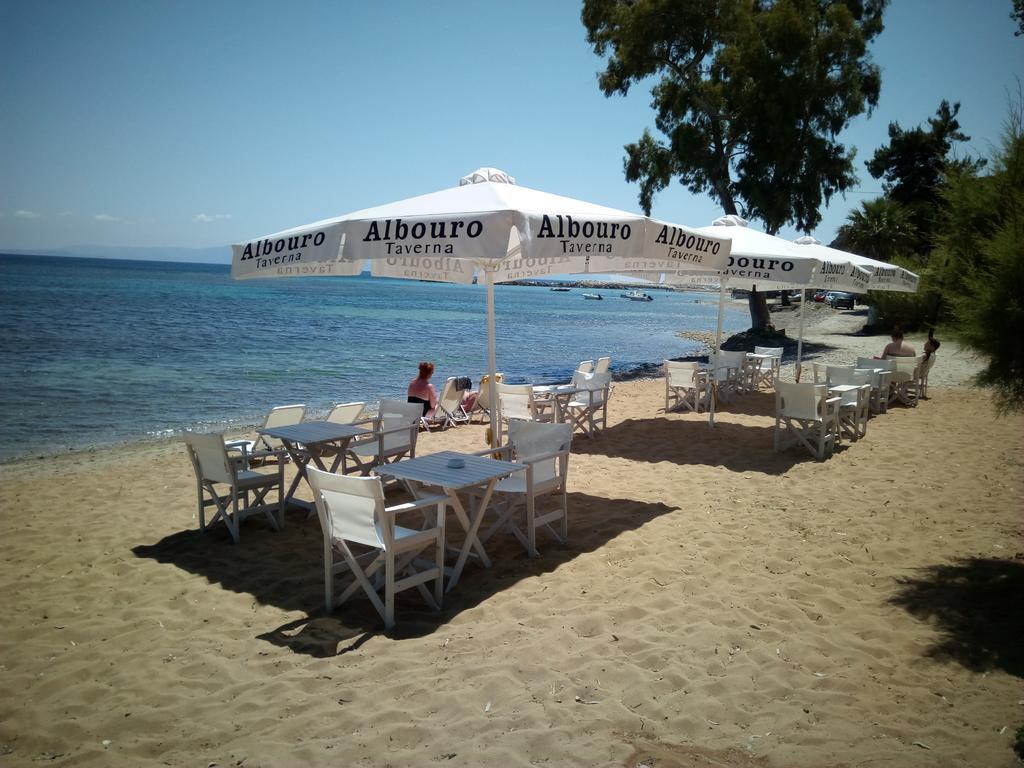 Albouro Seafront Apartments Katelios Bagian luar foto